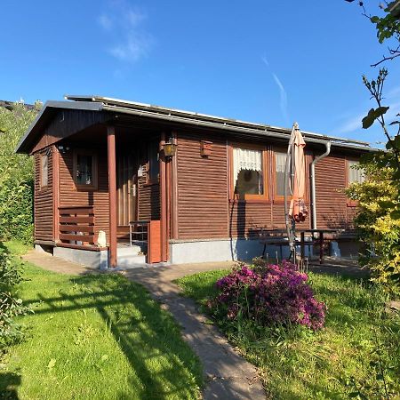 Gartenlandhaus Dohma Dış mekan fotoğraf